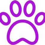 pngaaa.com-6950521